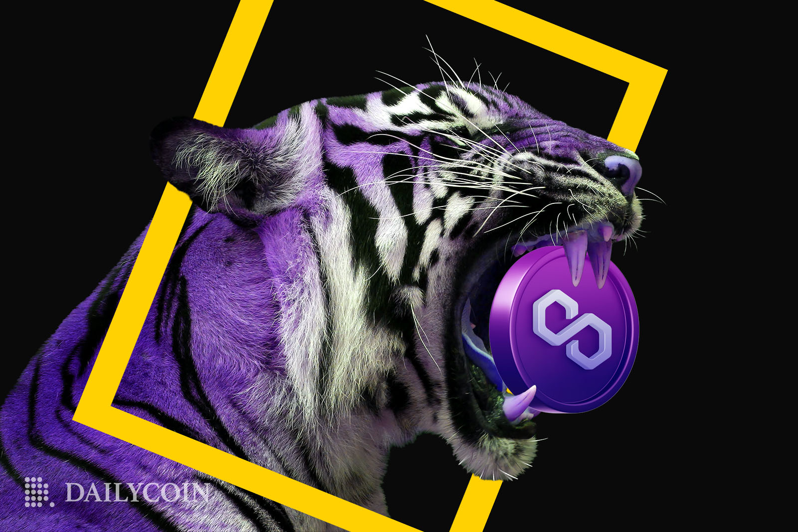 Purple tiger in a yellow National Geographic logo frame roaring with a Polygon Matic coin in his mouth.