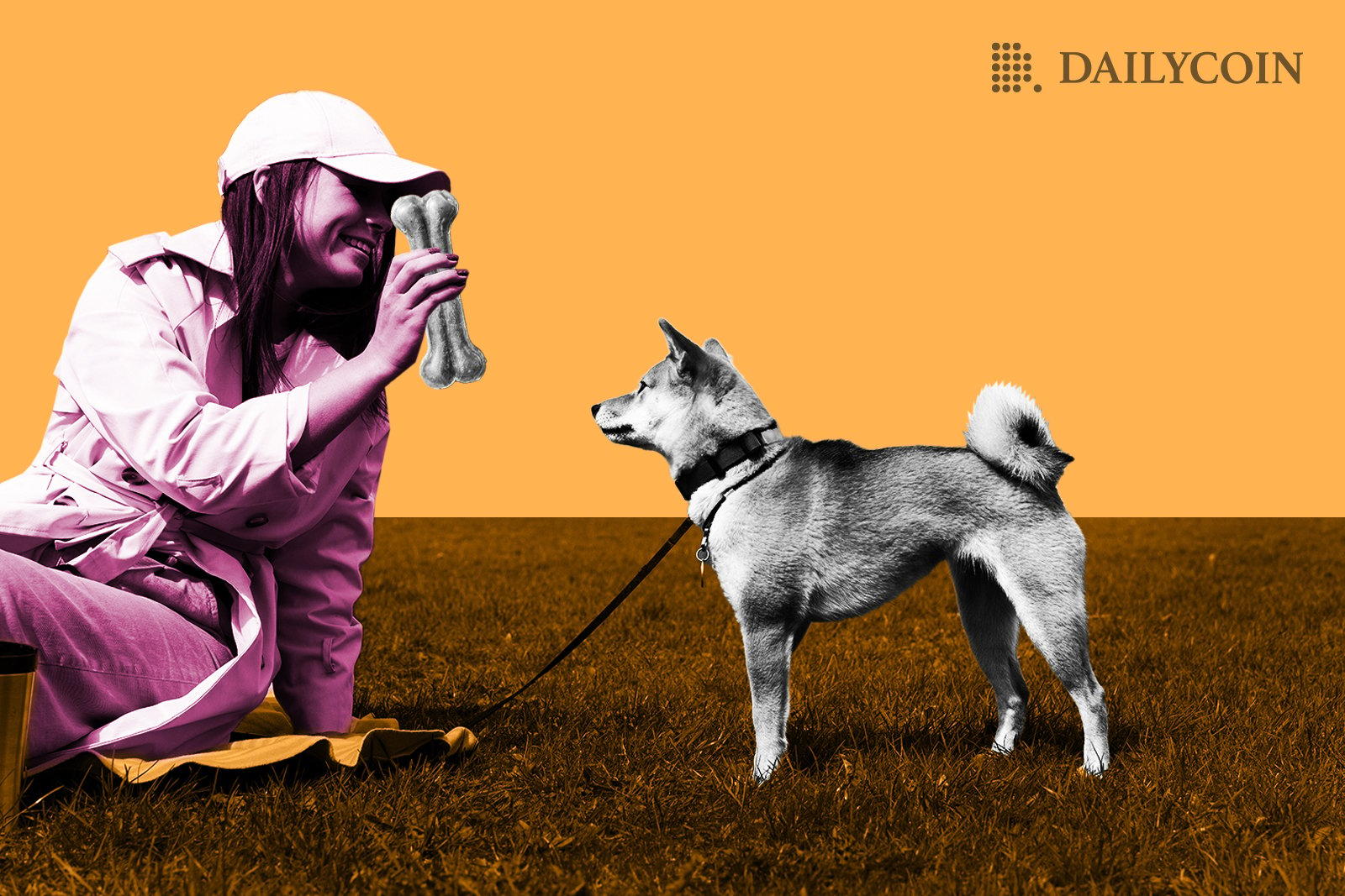 A woman holding a bone and playing with small shiba Inu.