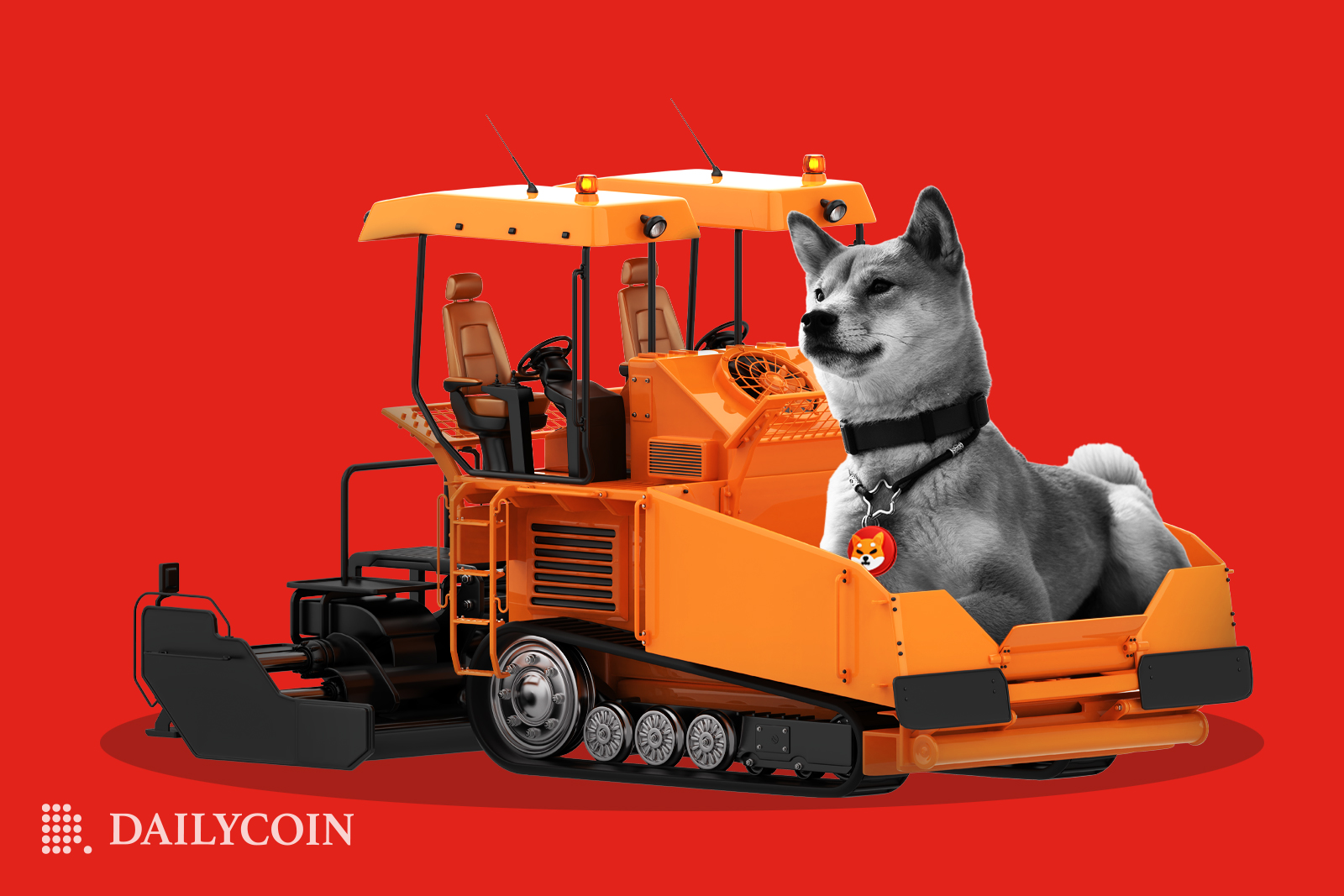 Big Shiba Inu dog riding in an orange excavator.