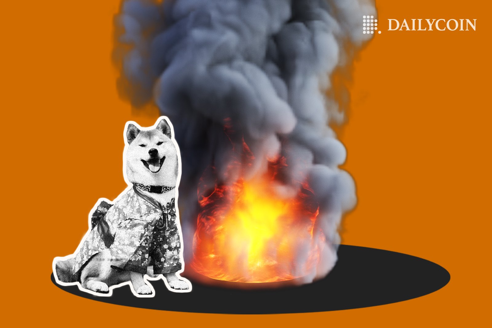 Shiba Inu next to burning fireplace.