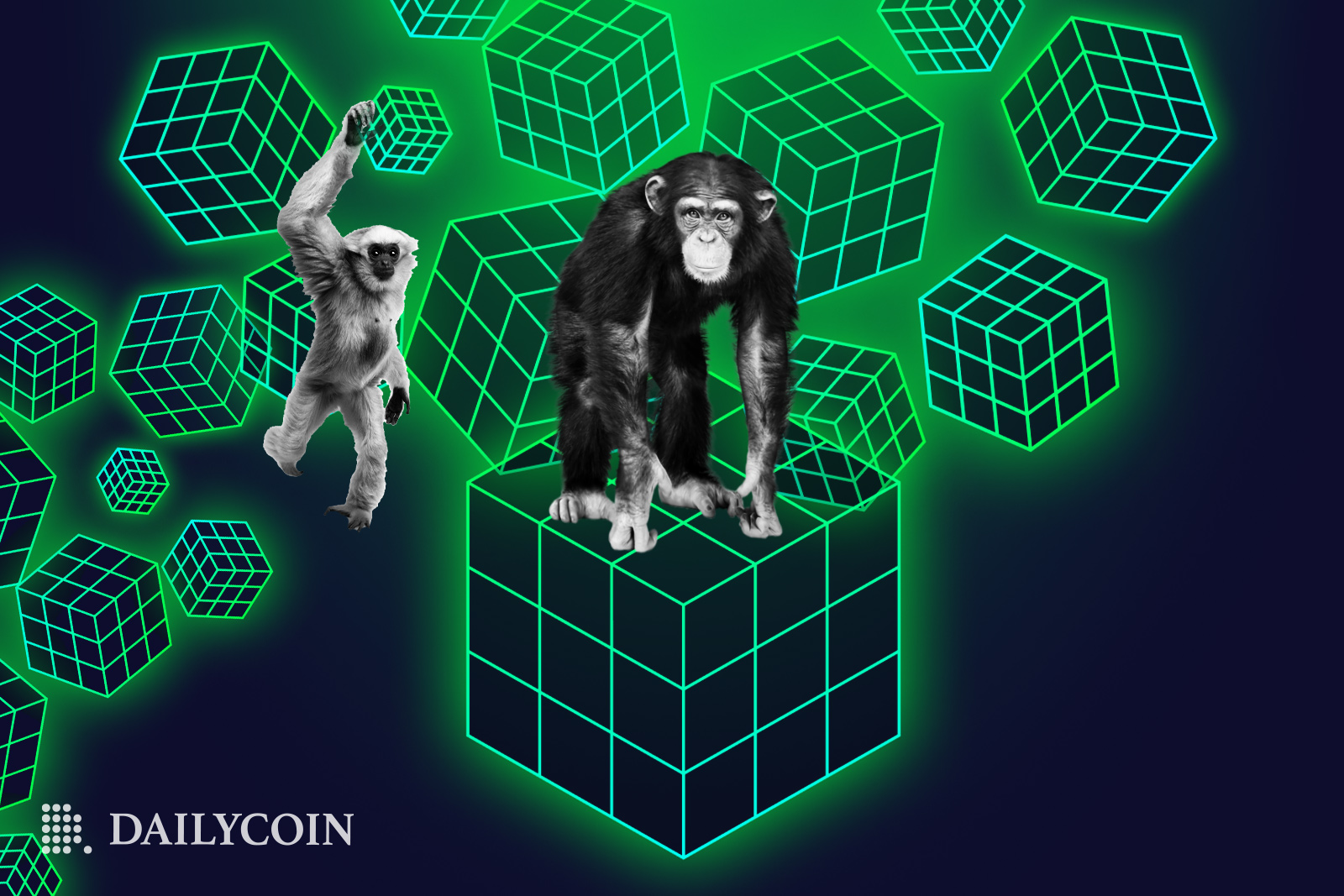 Monkeys playing around on floating Rubik's cubes