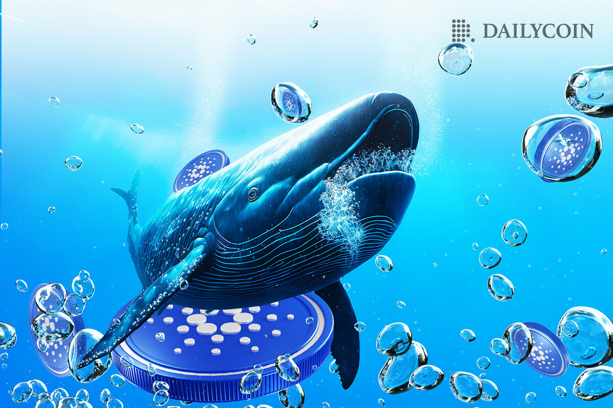 Cardano Whales Bullish on ADA – Is the Optimism Warranted?