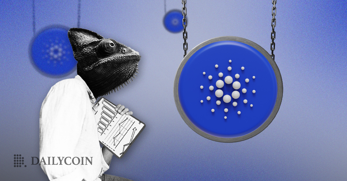 Cardano (ADA) On-Chain Statistics for January Revealed