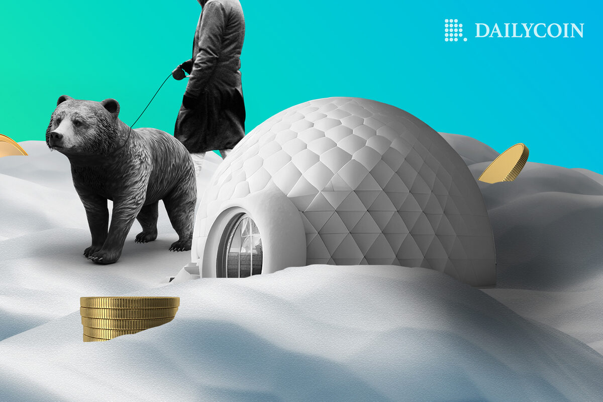 DeFi Defies the Bear Market: How Web3 Projects Build in the Crypto Winter