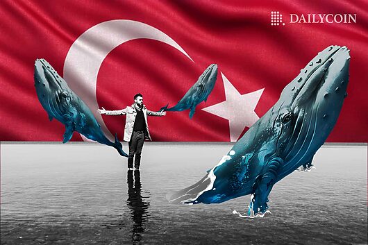 Turkey Targets Crypto Taxation and Regulation in 2024