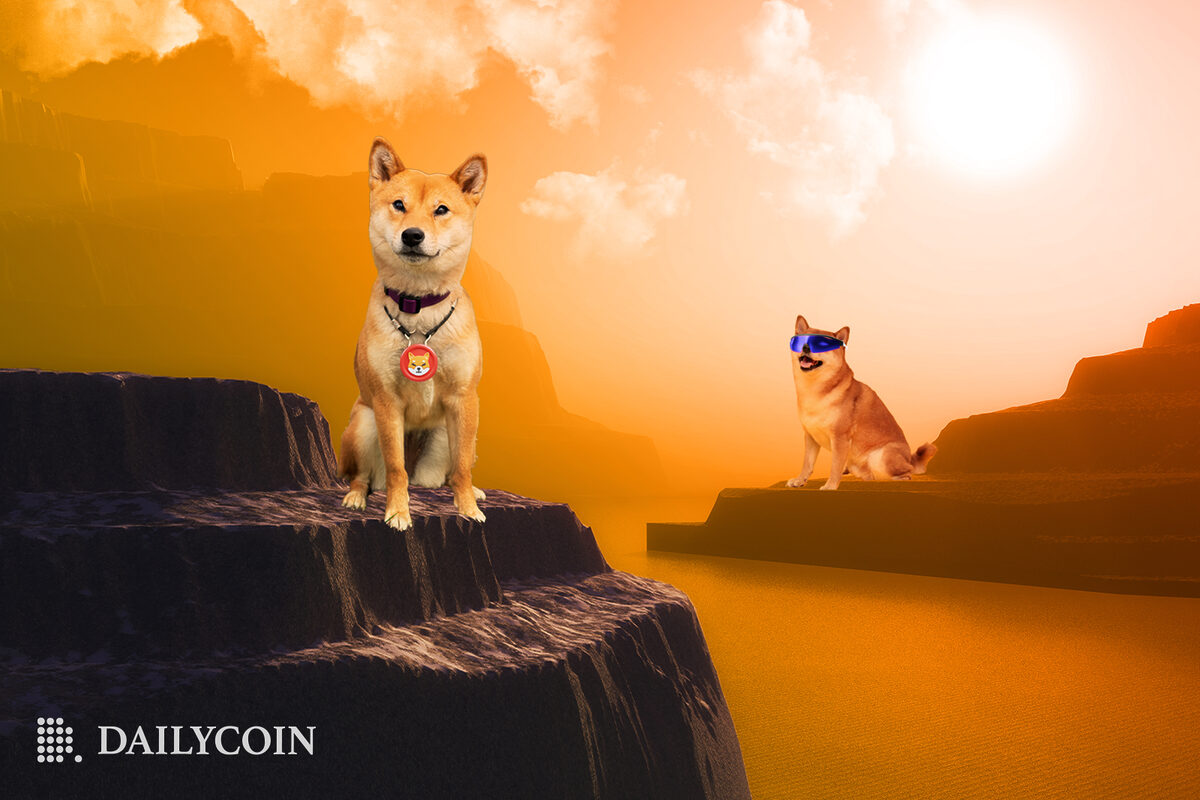 Two Shiba Inu dogs are proudly standing on the mountains as the sun rises.