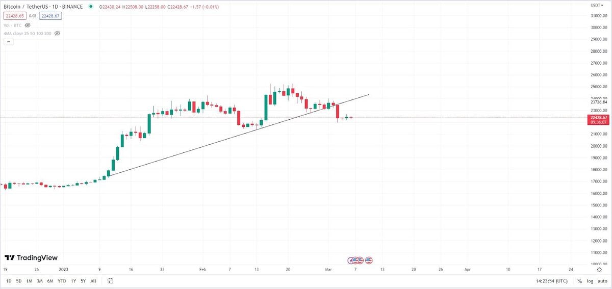 Bitcoin Daily Price Chart.