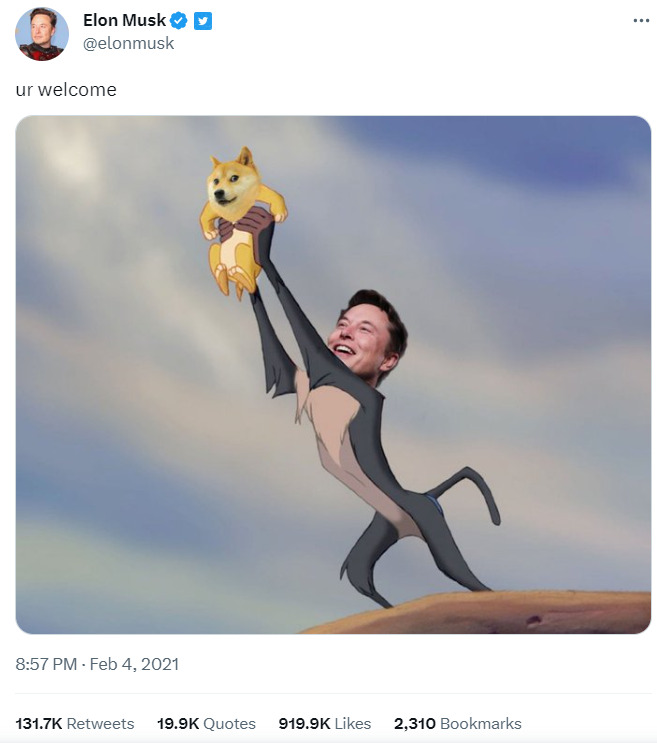 Elon musk holds DOGE like the Lion King