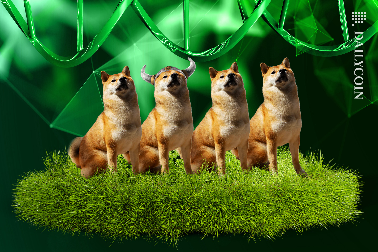 Four shiba dogs sitting on a grass podium below a DeFi connection with Dna chromosomes. One has a viking hat.