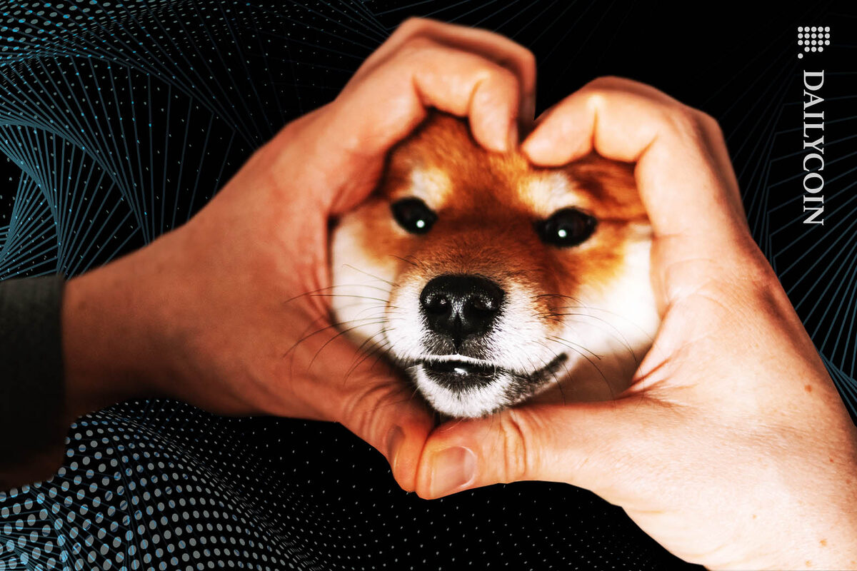 A heart shaped hands covering Shiba Inu face. 