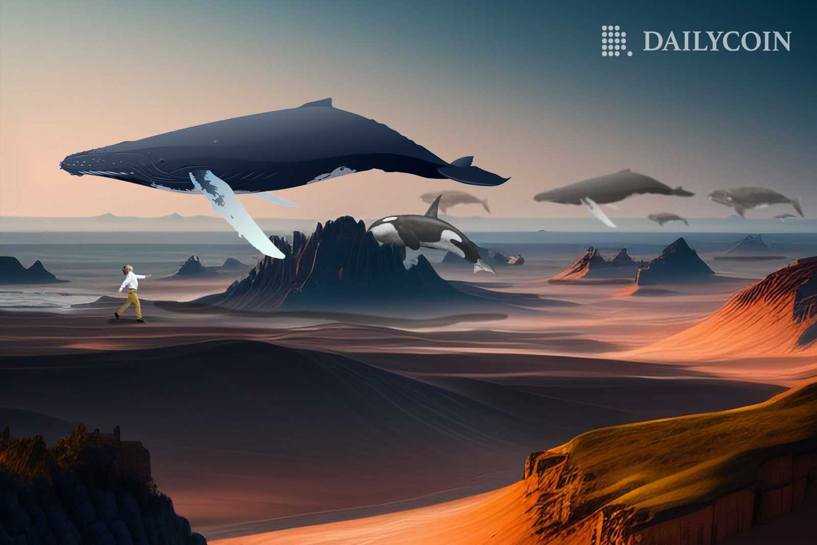 Whales flying around in a desert