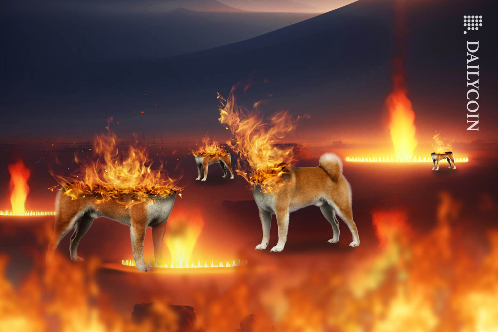 Shiba Inus burning on a torched landscape.