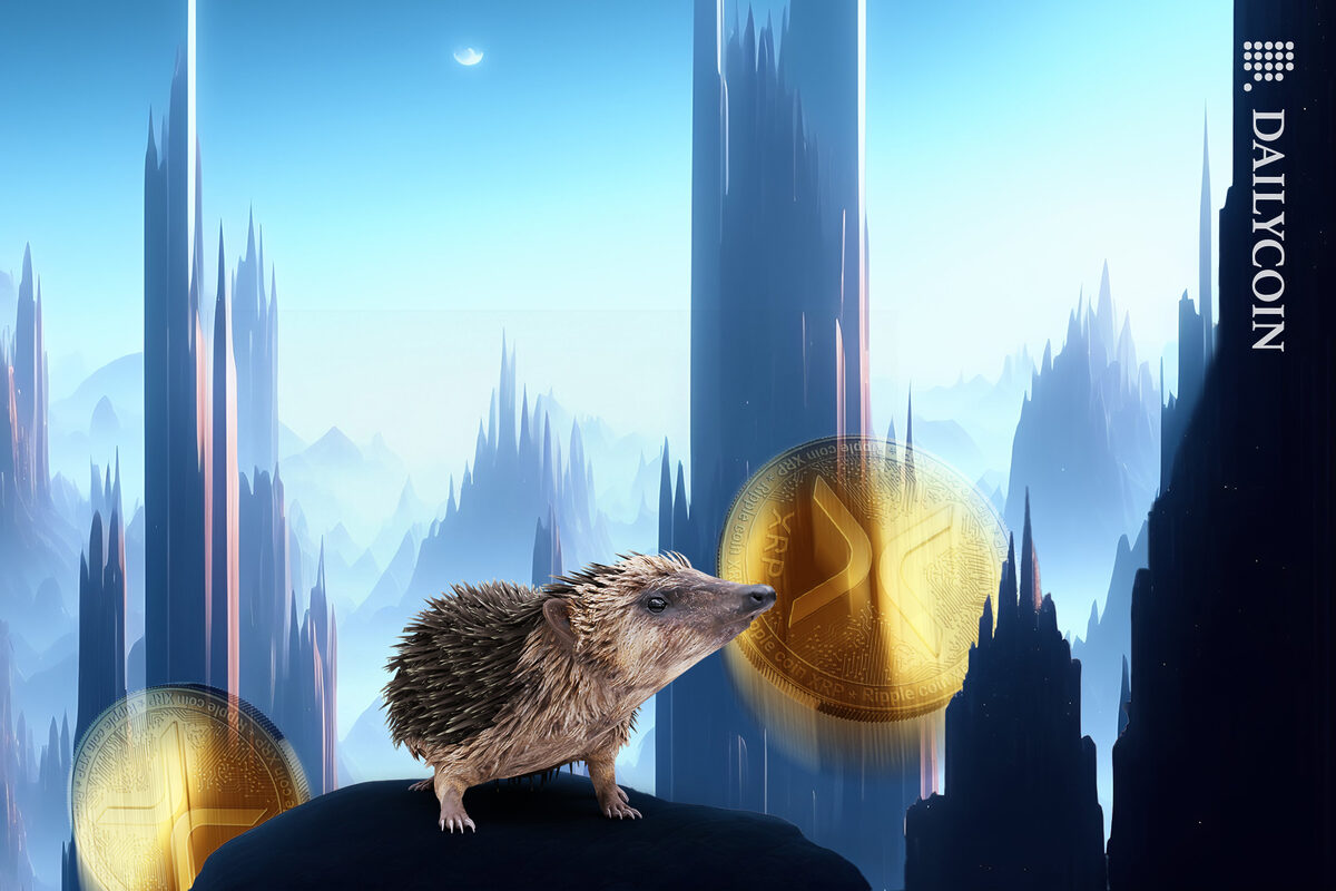 Hedgehog on top of a cliff in front of a sharp shard building and XRP tokens falling down.