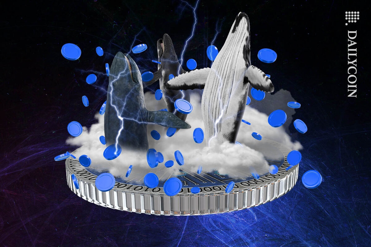 Three whales feeding on blue coins in the clouds above Cardano ADA.