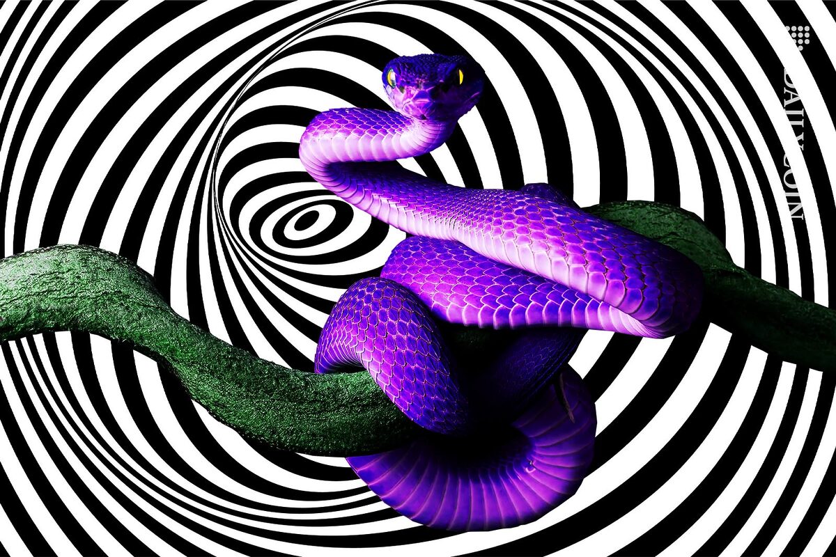 Purple snake sitting on a branch hypnotising the audience.