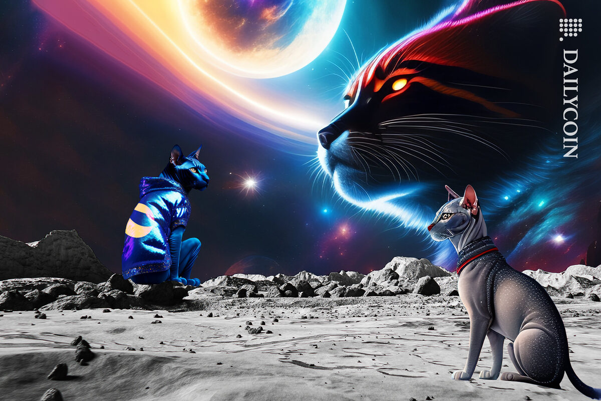 Two cats on the moon one with a Terra Luna hoodie, in the night sky there is a huge cat and a planet.
