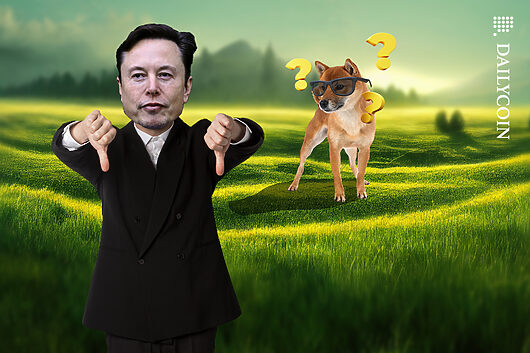 Musk Denies Owning Dogecoin in $260B DOGE Pyramid Case