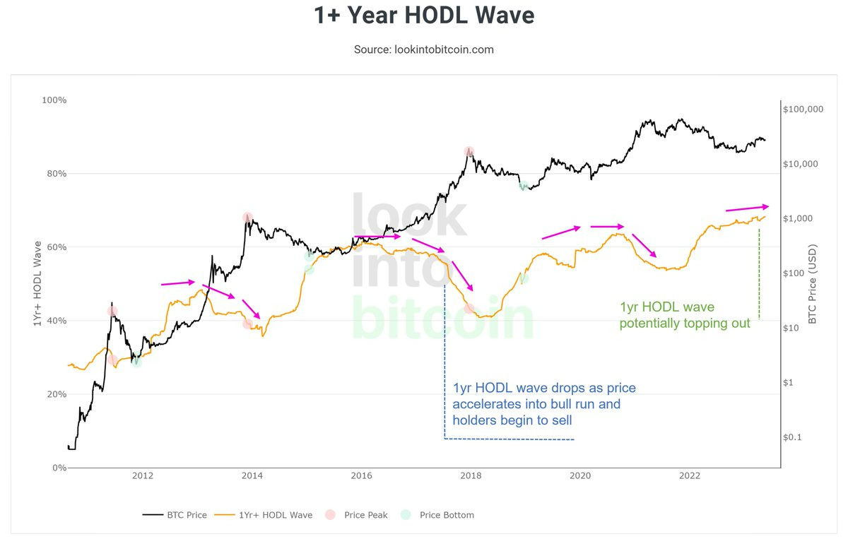 Bitcoin 1+ Year HODL Wave.