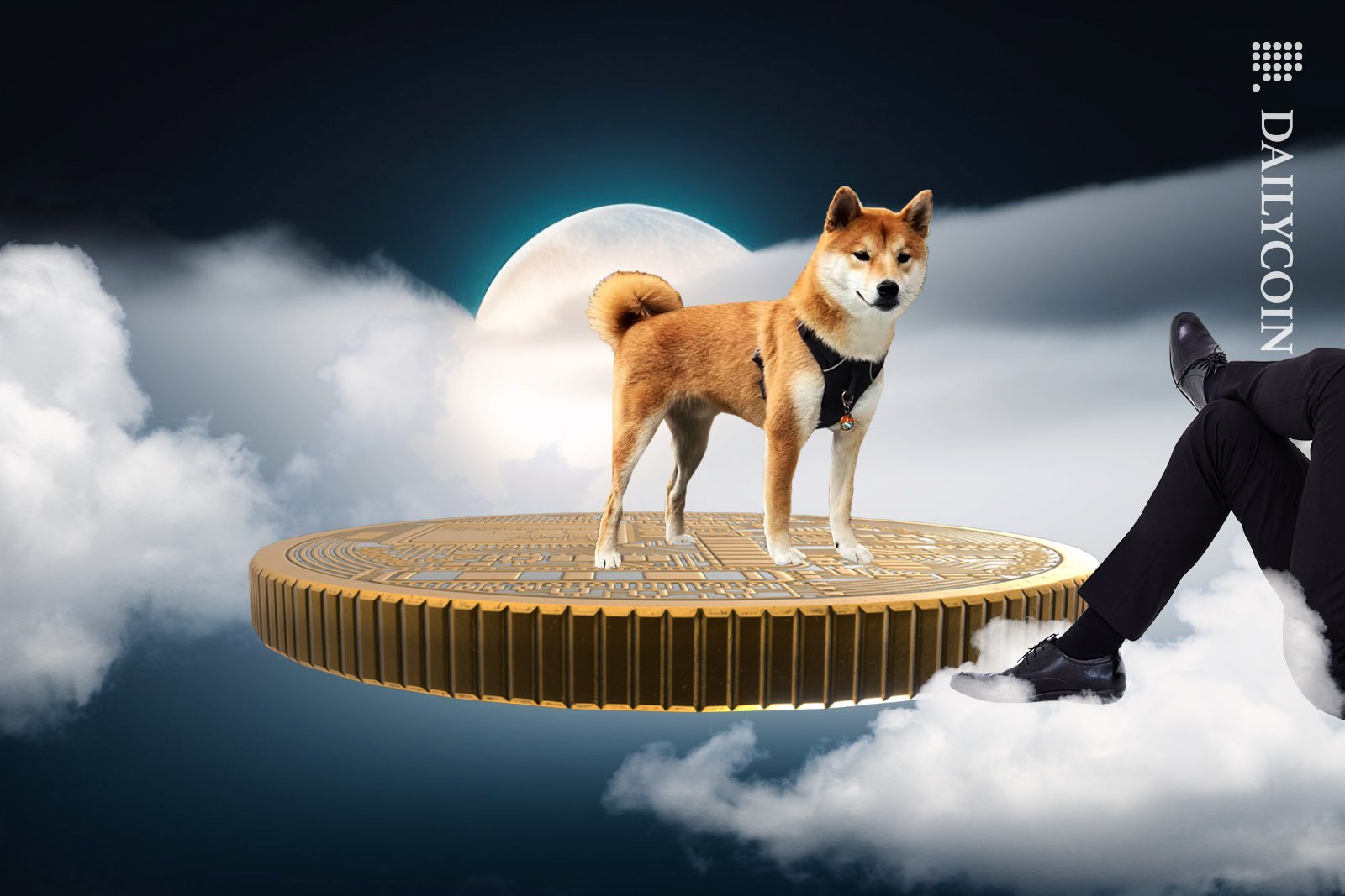 Shiba Inu on a floating coin watching a person float away on a cloud.