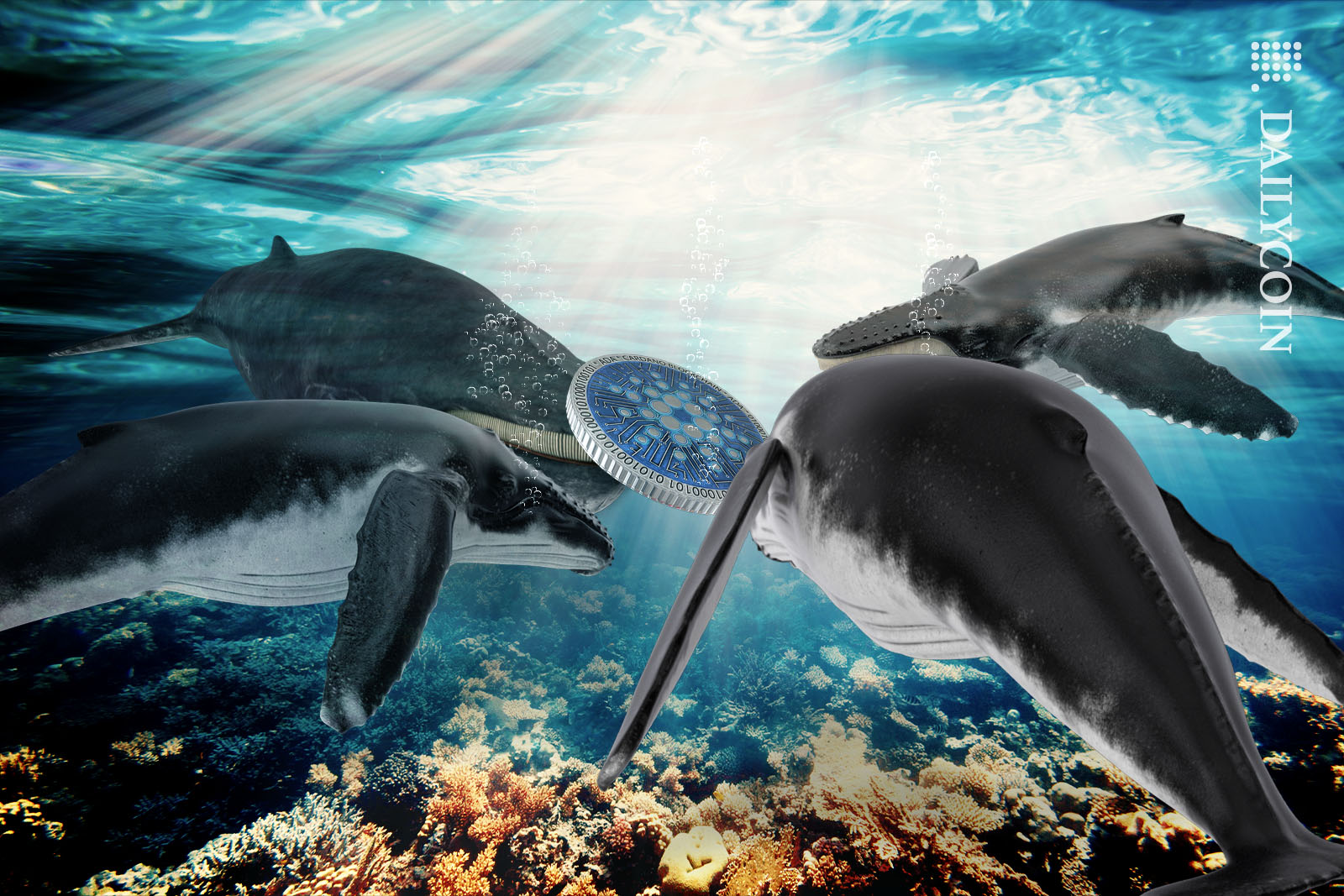Four whales checking out a Cardano coin floating around under water.