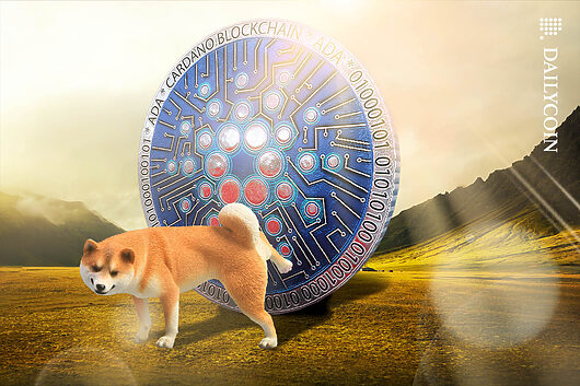 Cardano Loses 7th Spot to Dogecoin as ADA Falters at Key Point