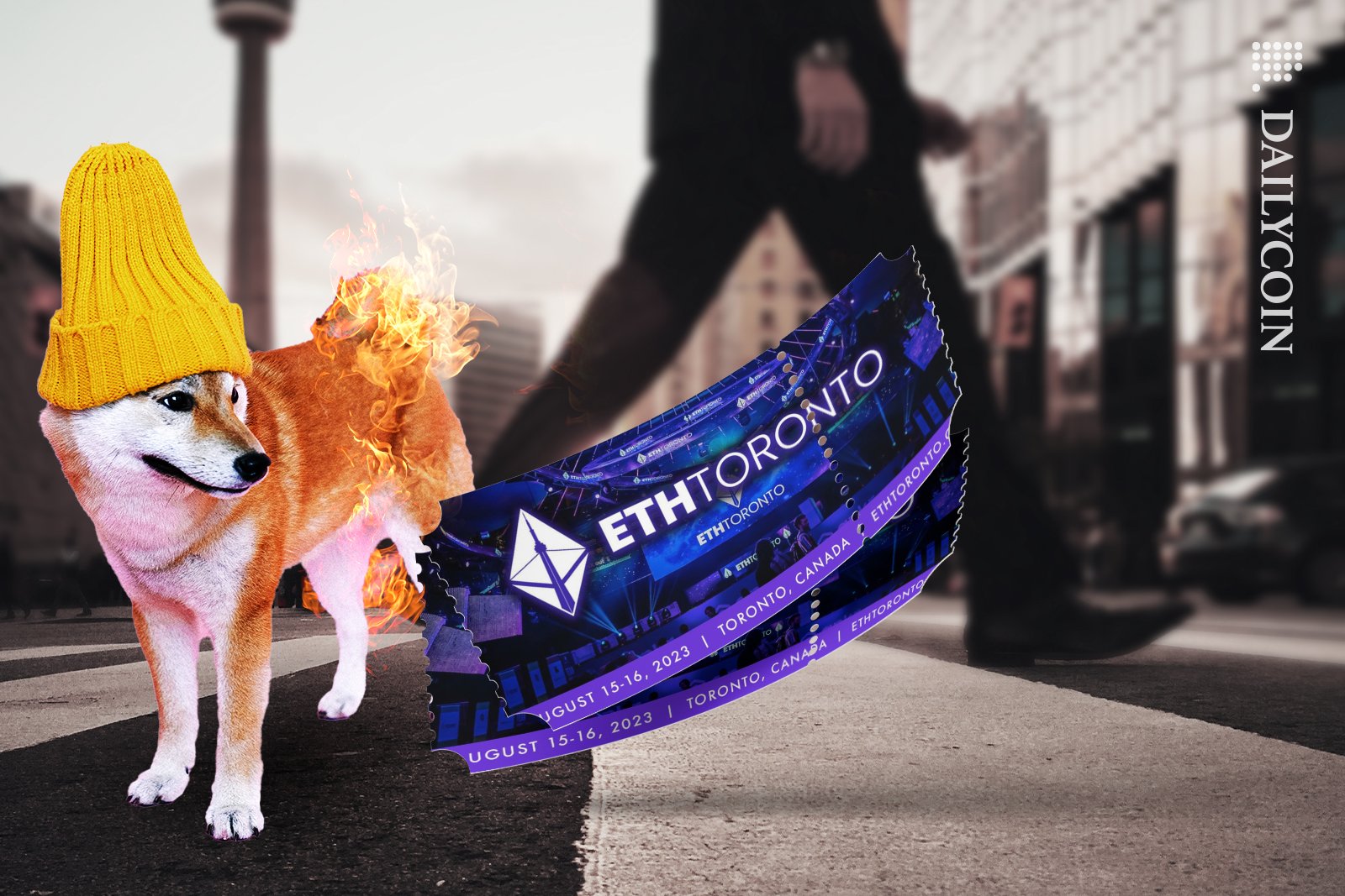 Shiba Inu burning in Toronto, as he sees ETHTORONTO tickets.