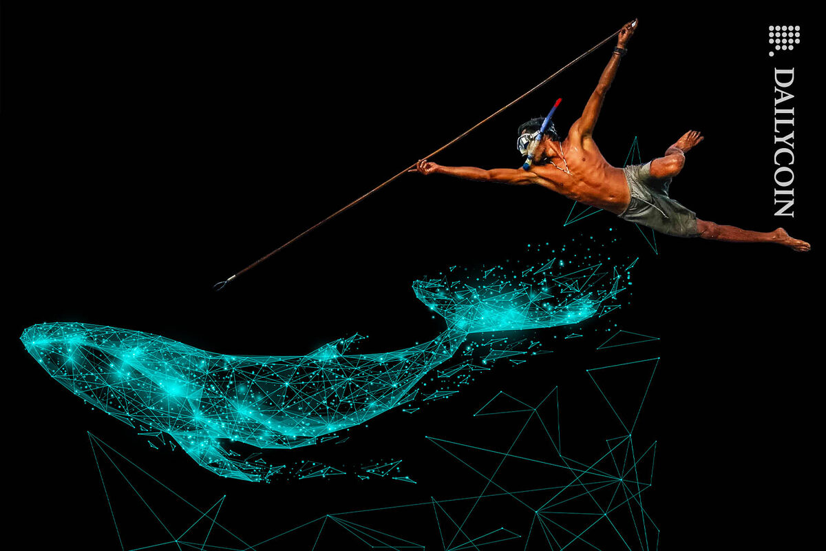 Hunter spearing a digital crypto whale.