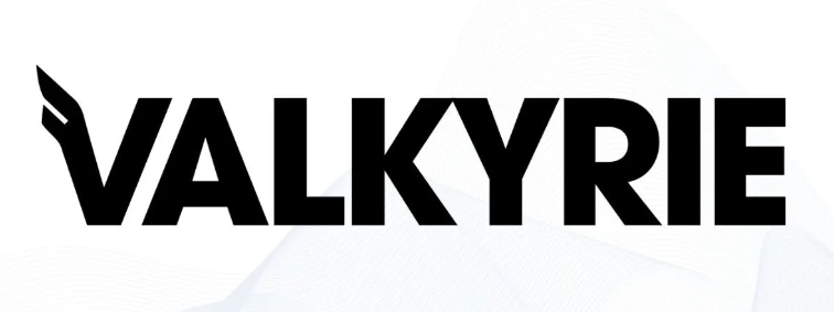 Valkyrie logo.
