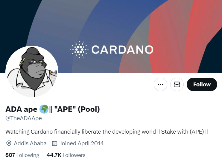 ADA Ape Cardano influencer twitter account.