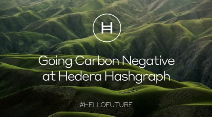 Hedera Carbon negative.