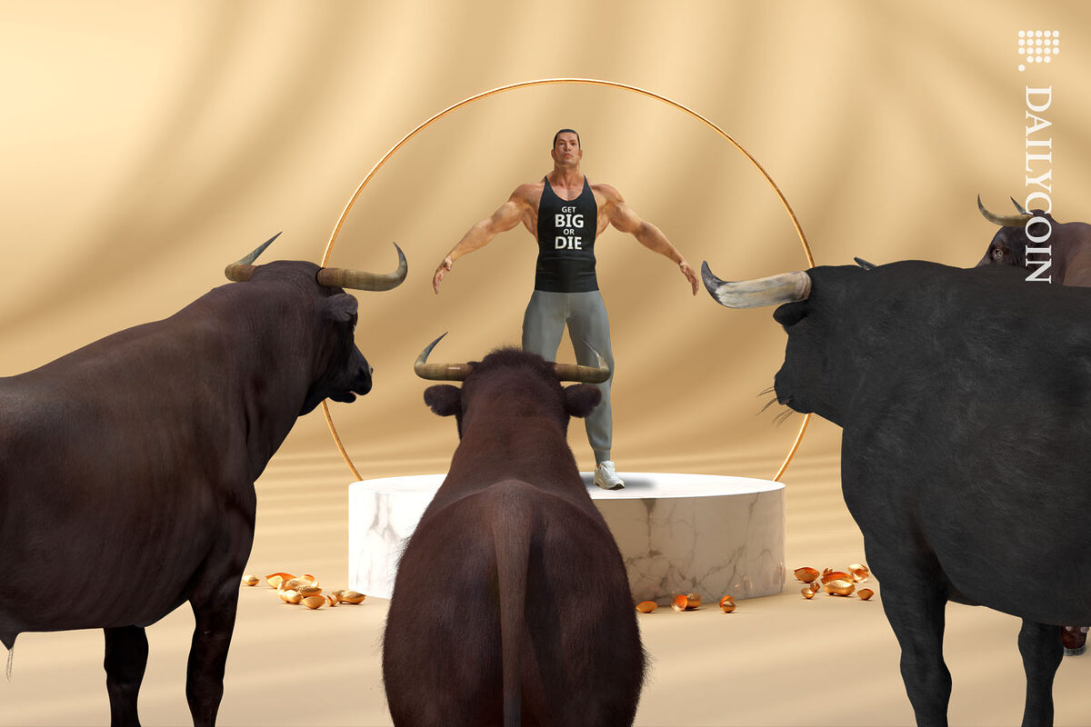 Bodybuilder being stared at by some bulls.
