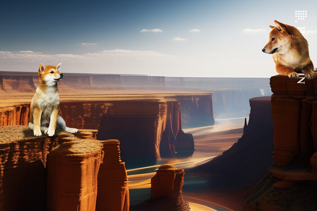 Two Shiba Inus staring at eachother over a canyon what separates them.