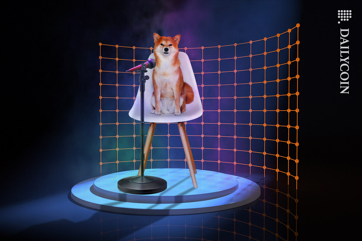 Shiba Inu sitting on a chair with a microphone on a well lit stage.