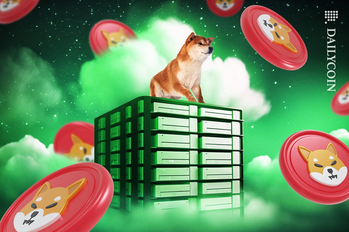 Shiba Inu on top of storage boxes all the way up into the clouds. Shiba inu Coins are surrounded everywhere.
