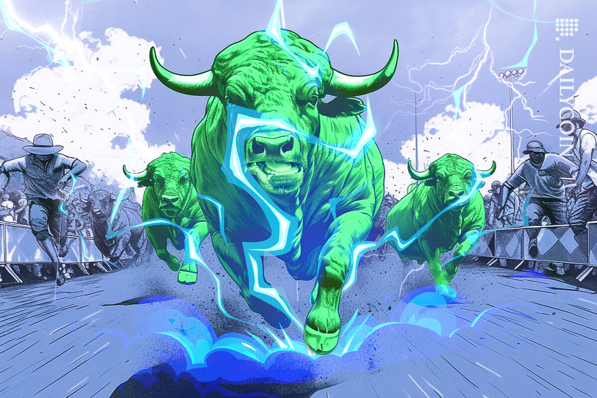 Bulls running happy with lightning stumps.