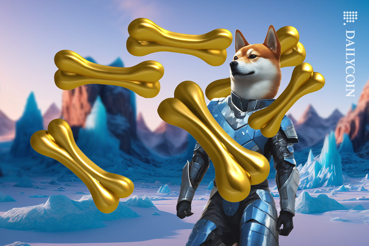 Shiba Inu to the rescue with a couple of gold BONES floating around him, in a icy land.