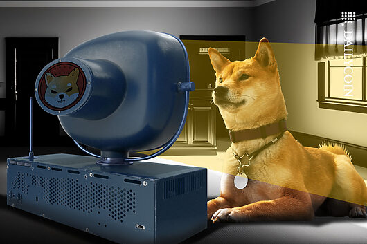 Shiba Inu Blog: What People Behind SHIB Have to Say