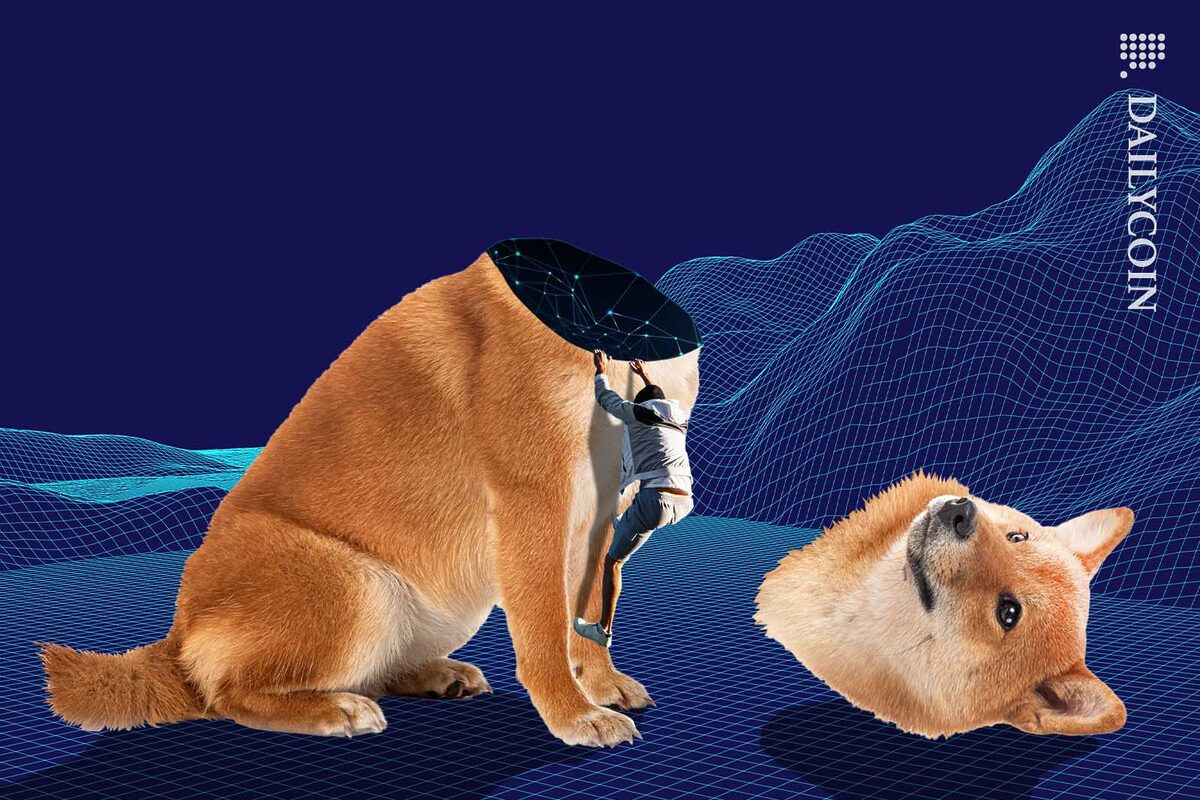 Man climbing out of a Shiba Inu "Troyan Horse" style in a digital landscape.