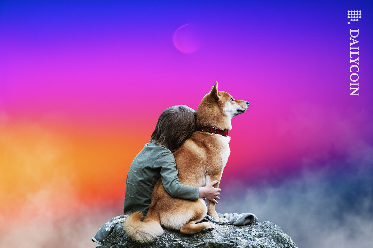 Shiba Inu fan hugging a Shiba on a cliff, whilst watching a gradient sunset.