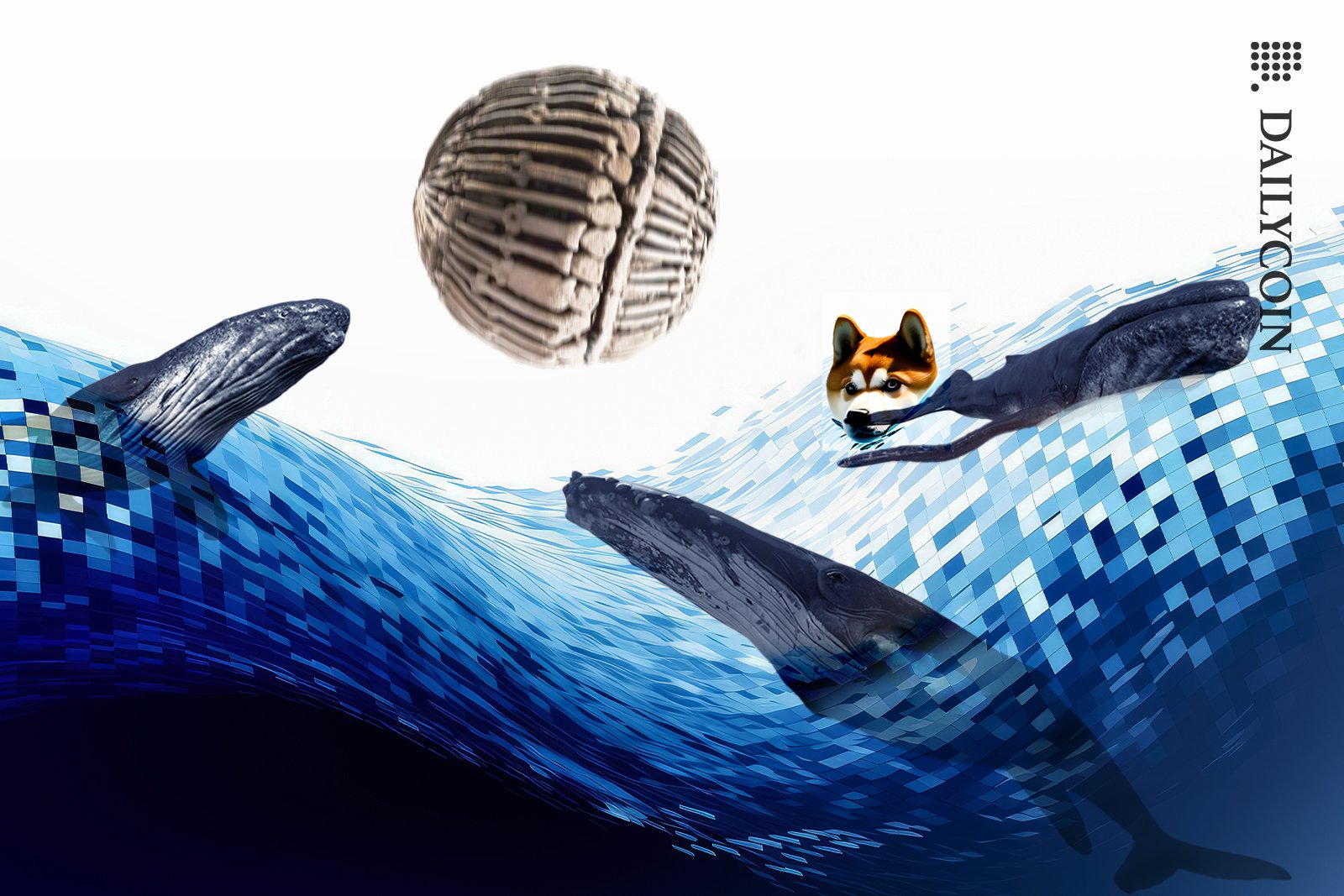 Whales playing with a Shiba Inu BONE ball.