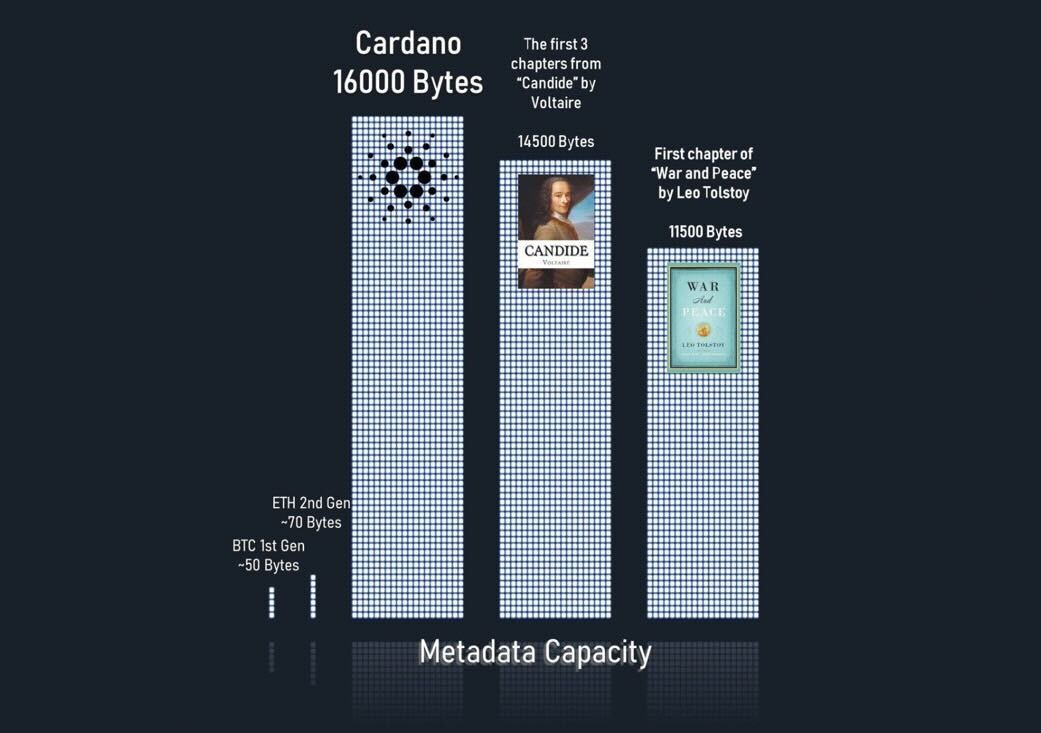 Cardano bar chart on metadata capacity