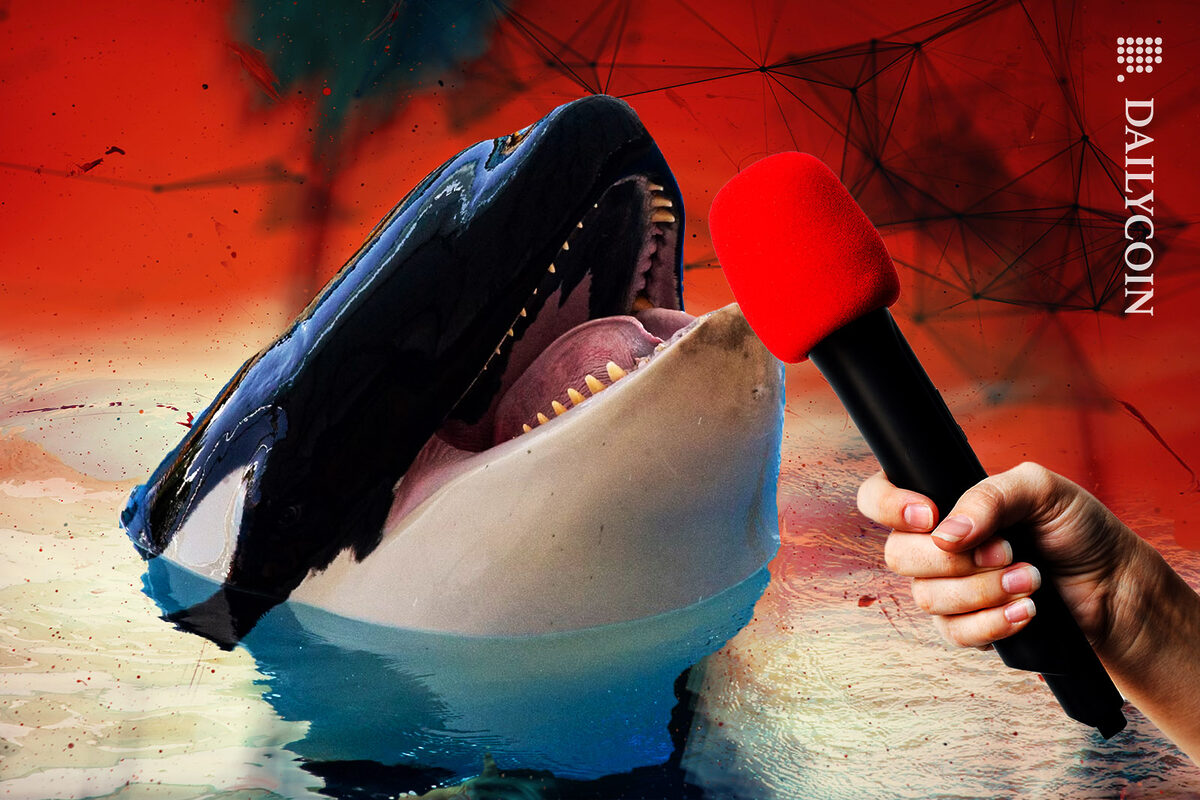 Ocra Whale giving an interview about DEFI being on RED.