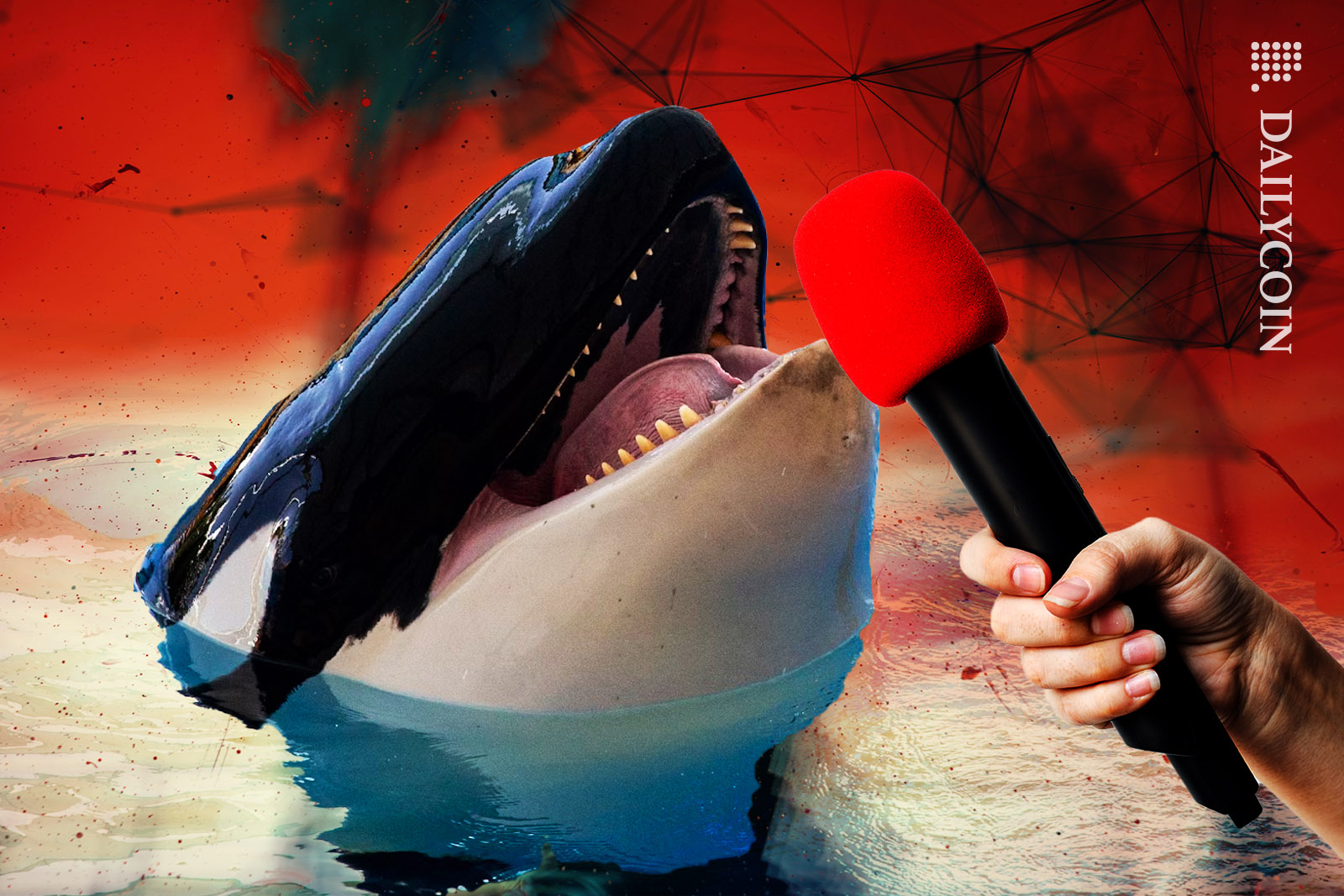 Ocra Whale giving an interview about DEFI being on RED.