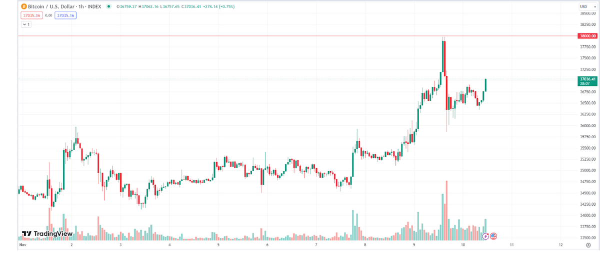 Bitcoin/USD Chart (BTC/USD) 1-Hour Chart.