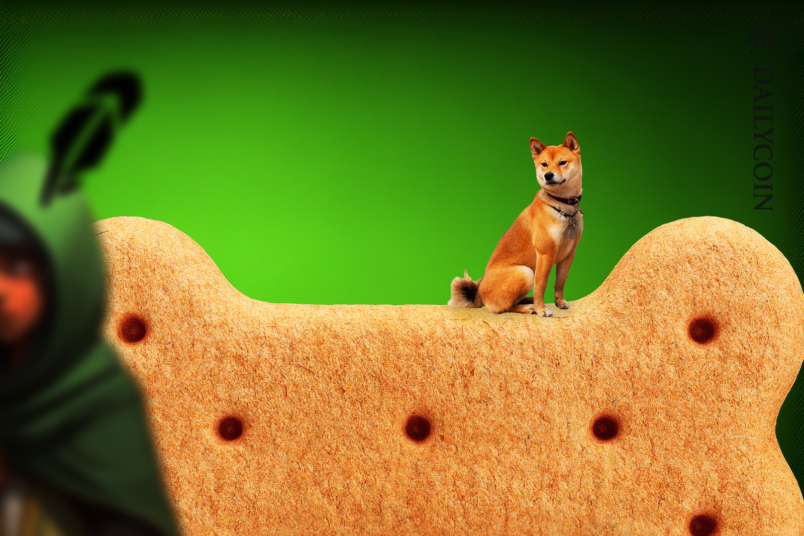 Shiba Inu on a massive BONE looking out for Robin hood.