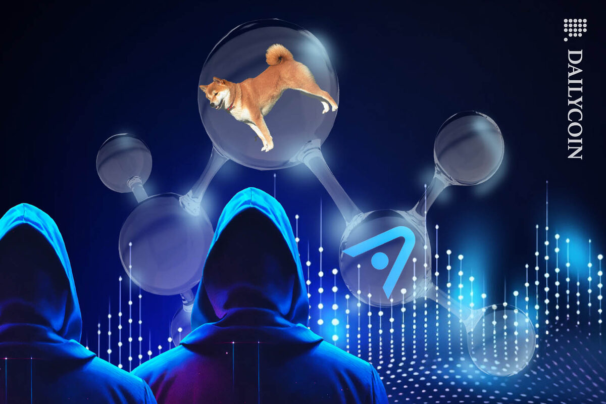 People seeing Atomic wallet and Shiba inu connected.