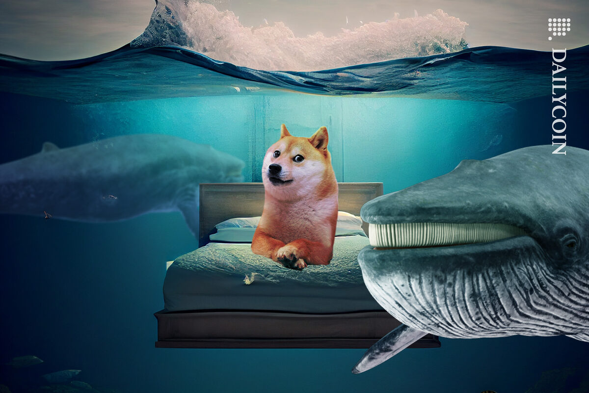Doge on a sea bed with whales surrounding him.