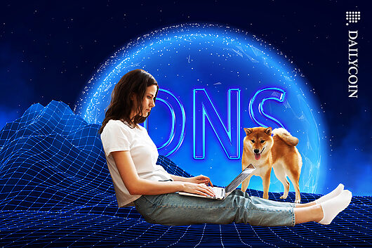 Shiba Inu Rolls Out Early Access for DNS Compatible Domains