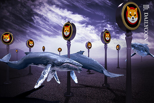 3T SHIB Snagged By Coinbase Whale: One-Shot Or Hot Trend?