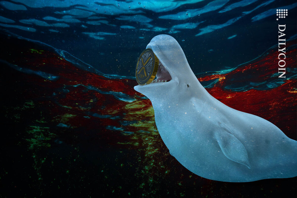 Beluga whale holding an XRP coin in its mouth under the sea.
